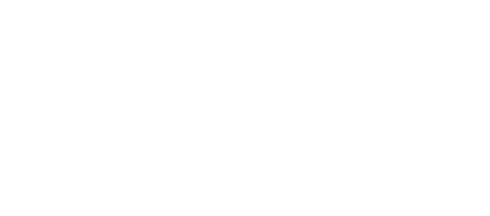 SI Company